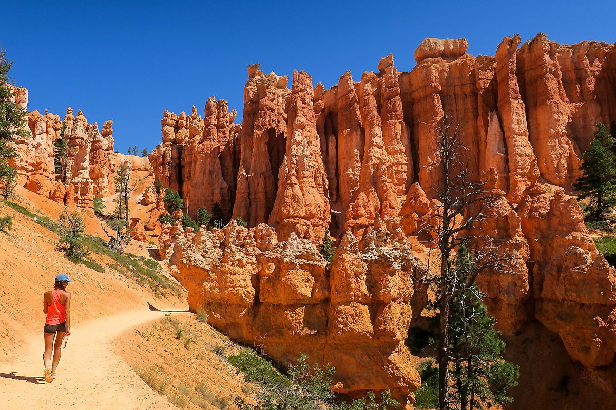 Que voir dans le parc national de Bryce Canyon ?