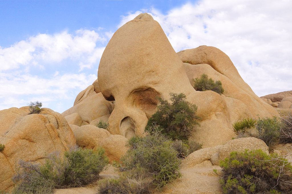 Joshua Tree National Park