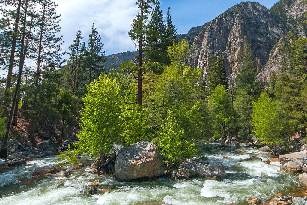 Kings Canyon National Park