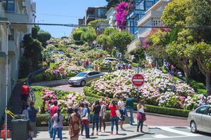 Lombard Street, la rue la plus typique de San Francisco