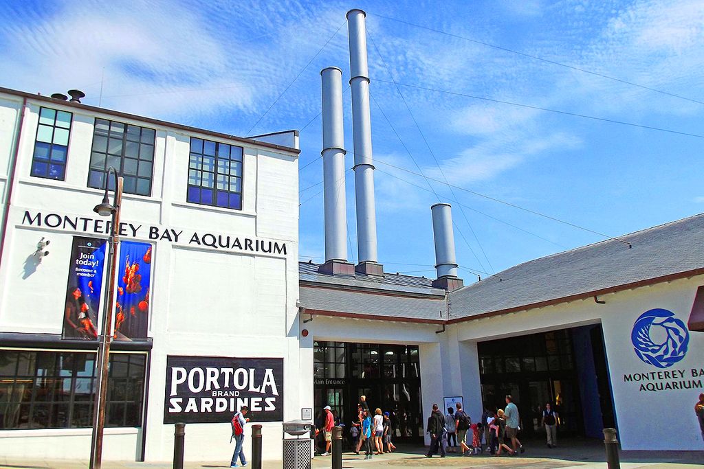 Monterey Bay Aquarium