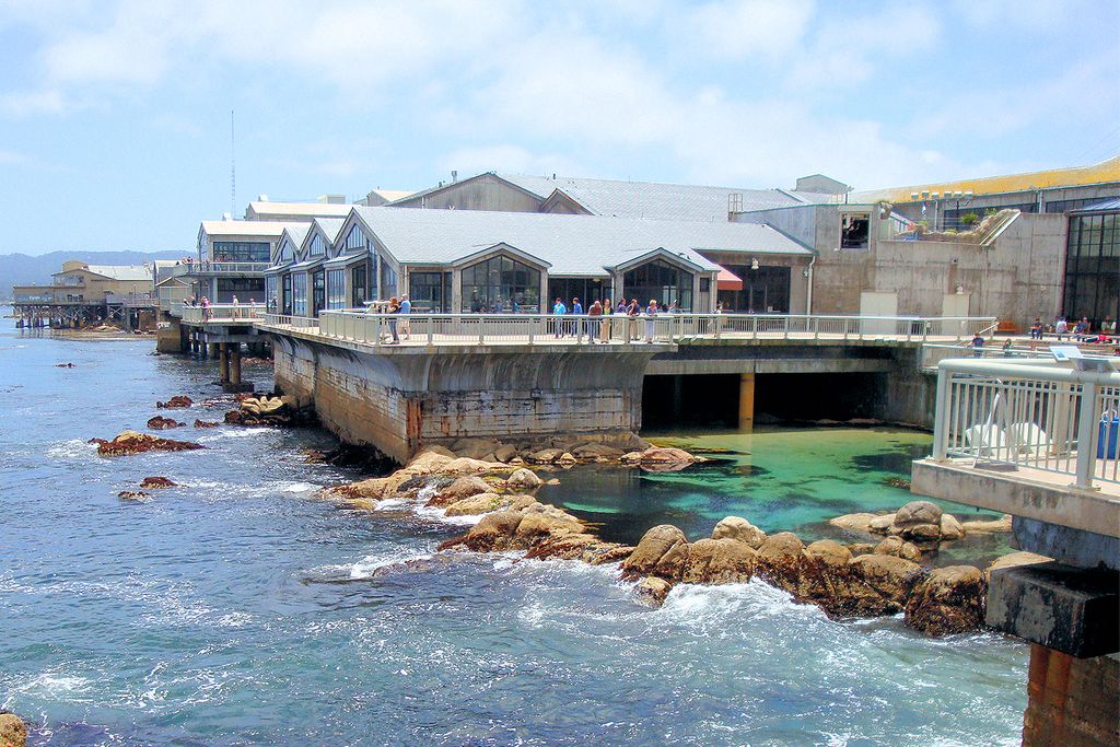 Monterey Bay Aquarium