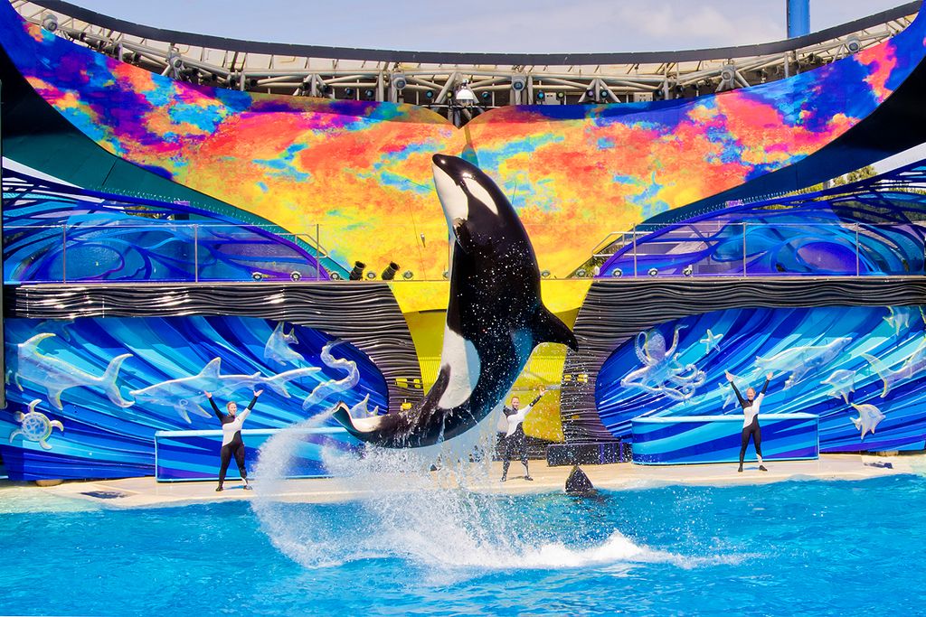 Seaworld San Diego