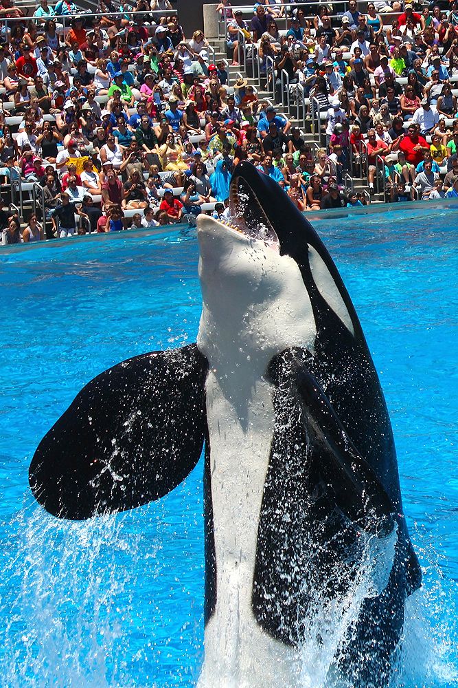 Seaworld San Diego