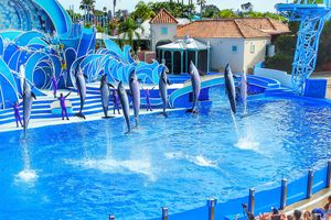 Que voir au parc SeaWorld de San Diego ?