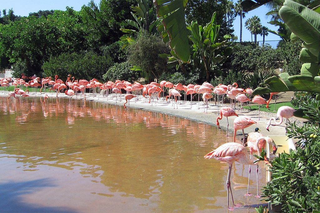 Seaworld San Diego