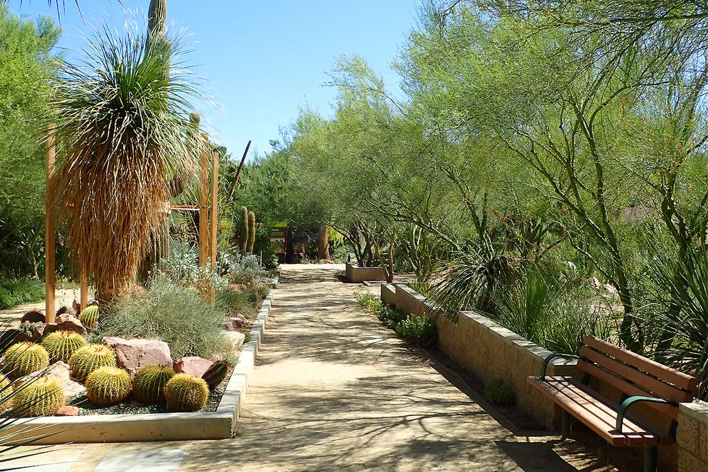 Springs Preserve, un oasis en plein désert du Nevada ©FarWest