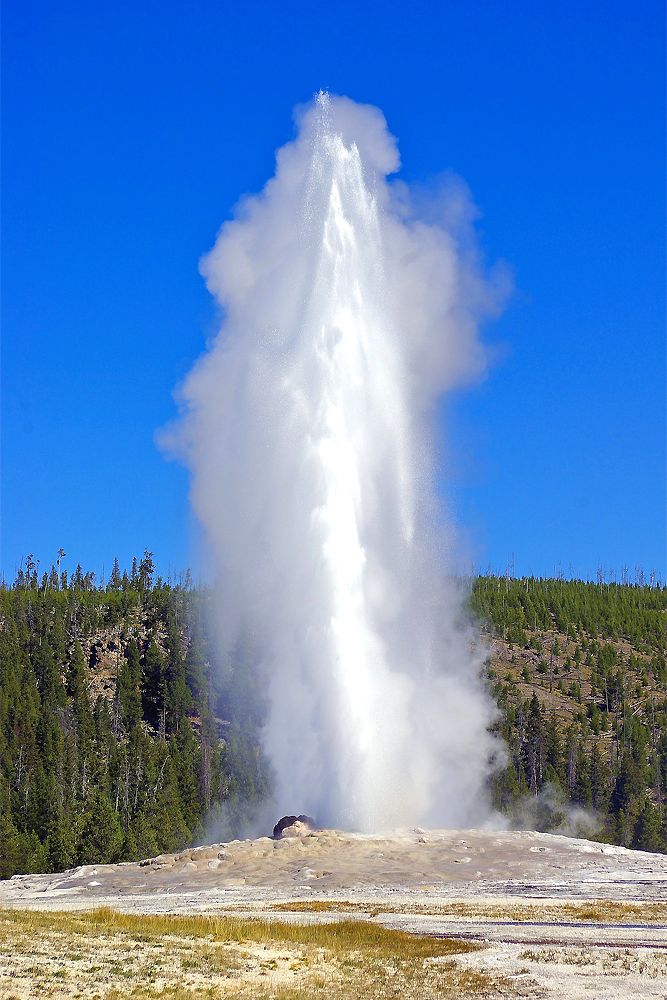 Yellostone National Park