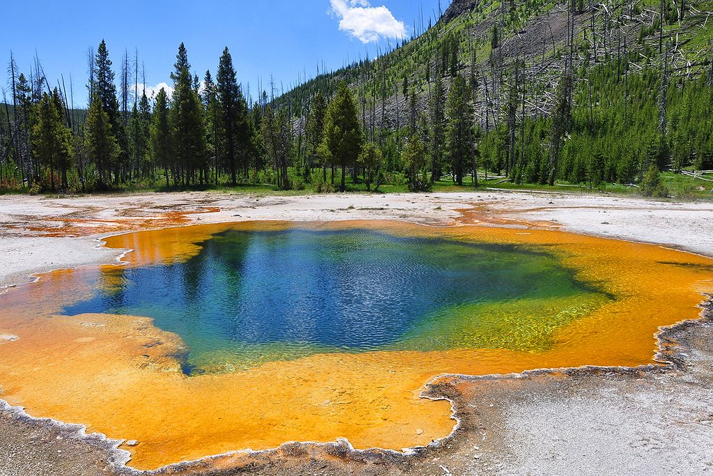 Yellostone National Park