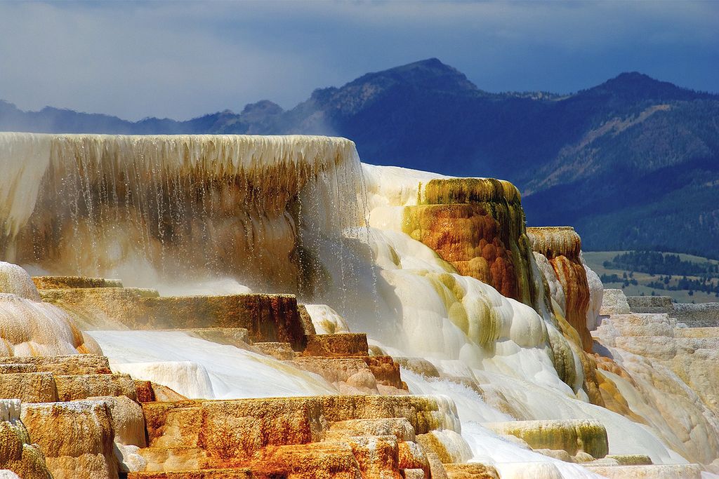 Yellostone National Park