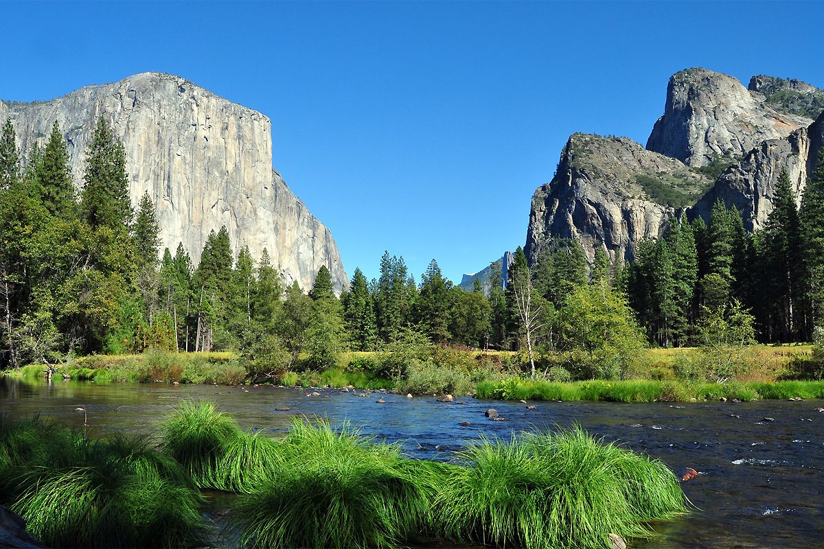 Que voir dans le parc de Yosemite ?