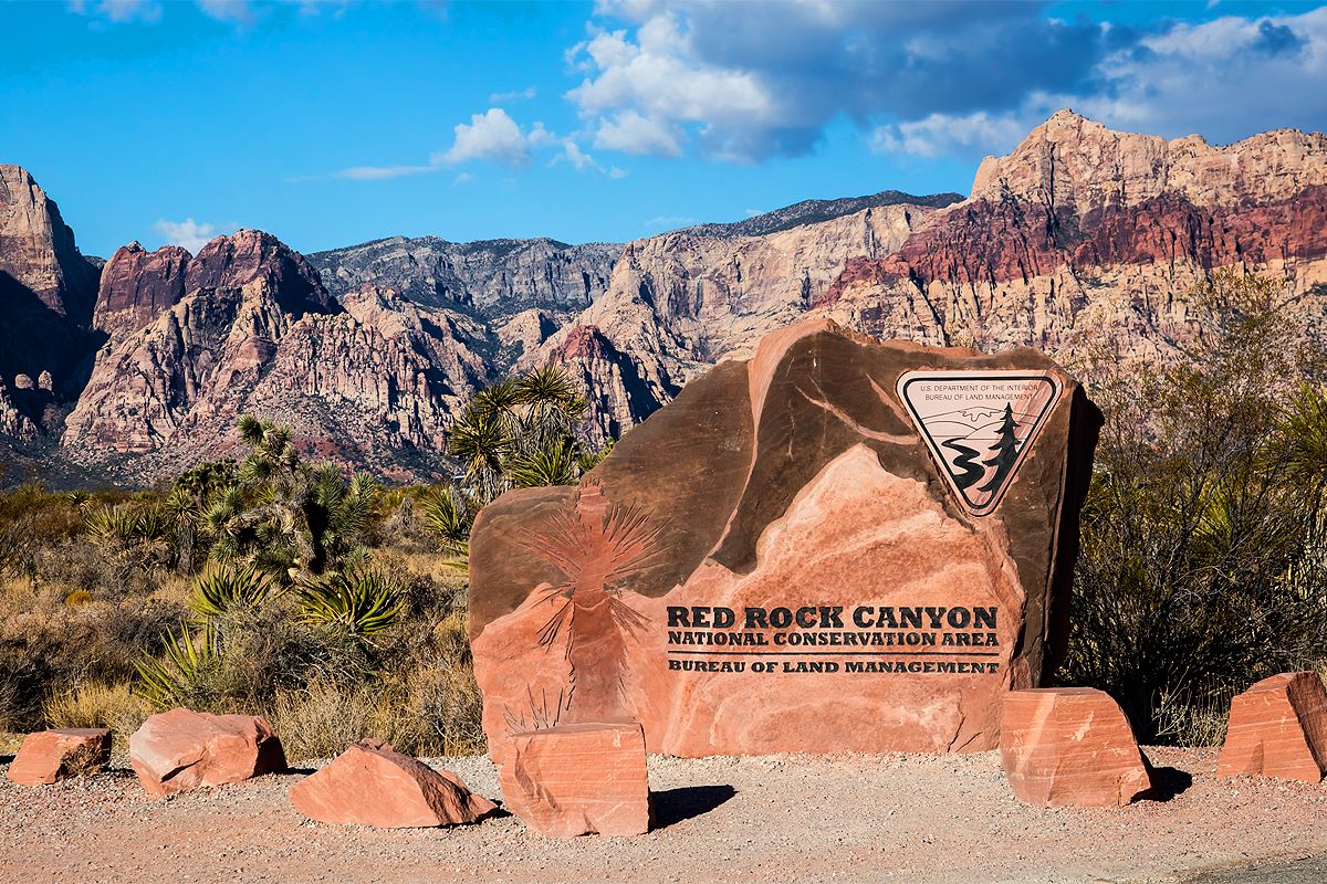 Visite guidée du Red Rock Canyon en privé et en français