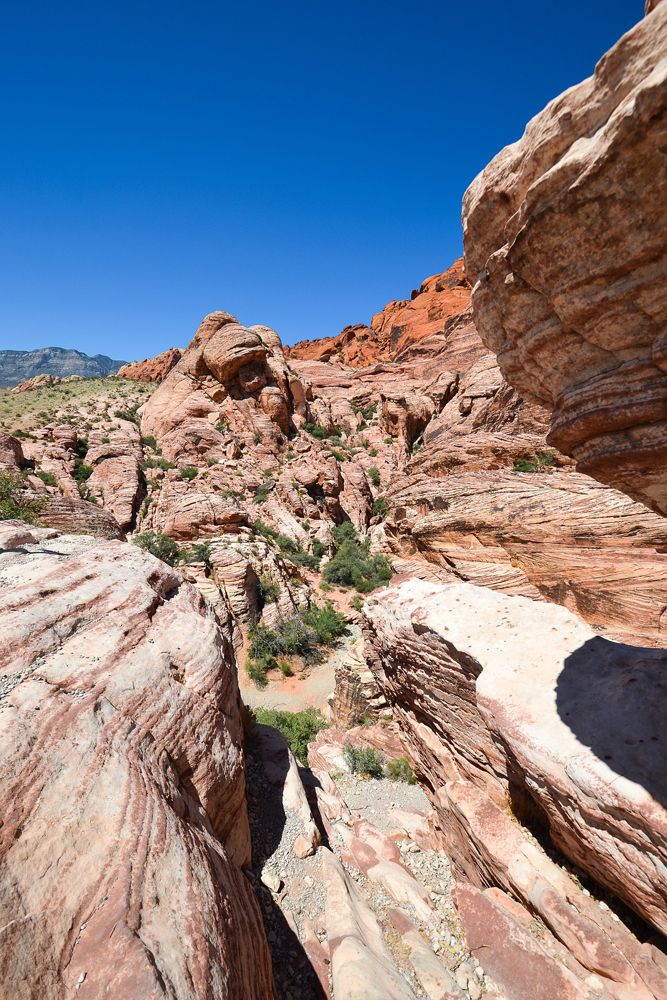 Red Rock Canyon