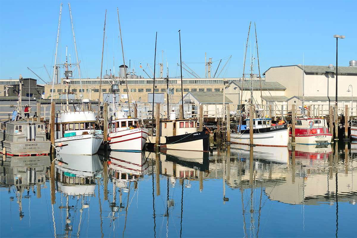 Fisherman Wharf San Francisco California